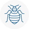 Bed Bug Extermination In Penkridge